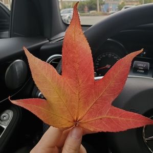 Meet your Posher, Mia